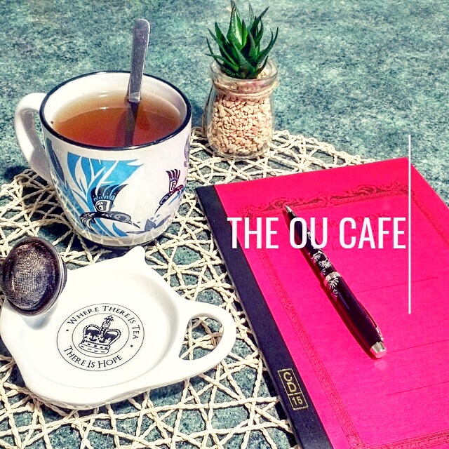 28 nuances de romancier : thé ou café