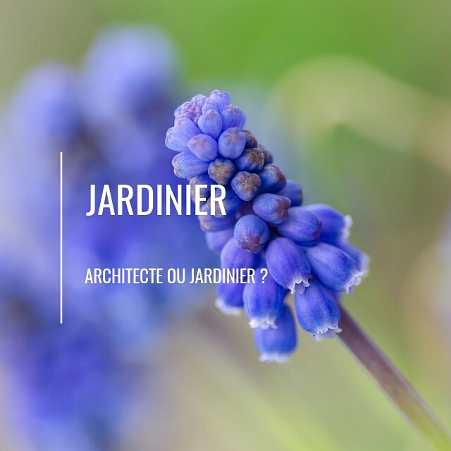 28 nuances de romanciers : jardinier